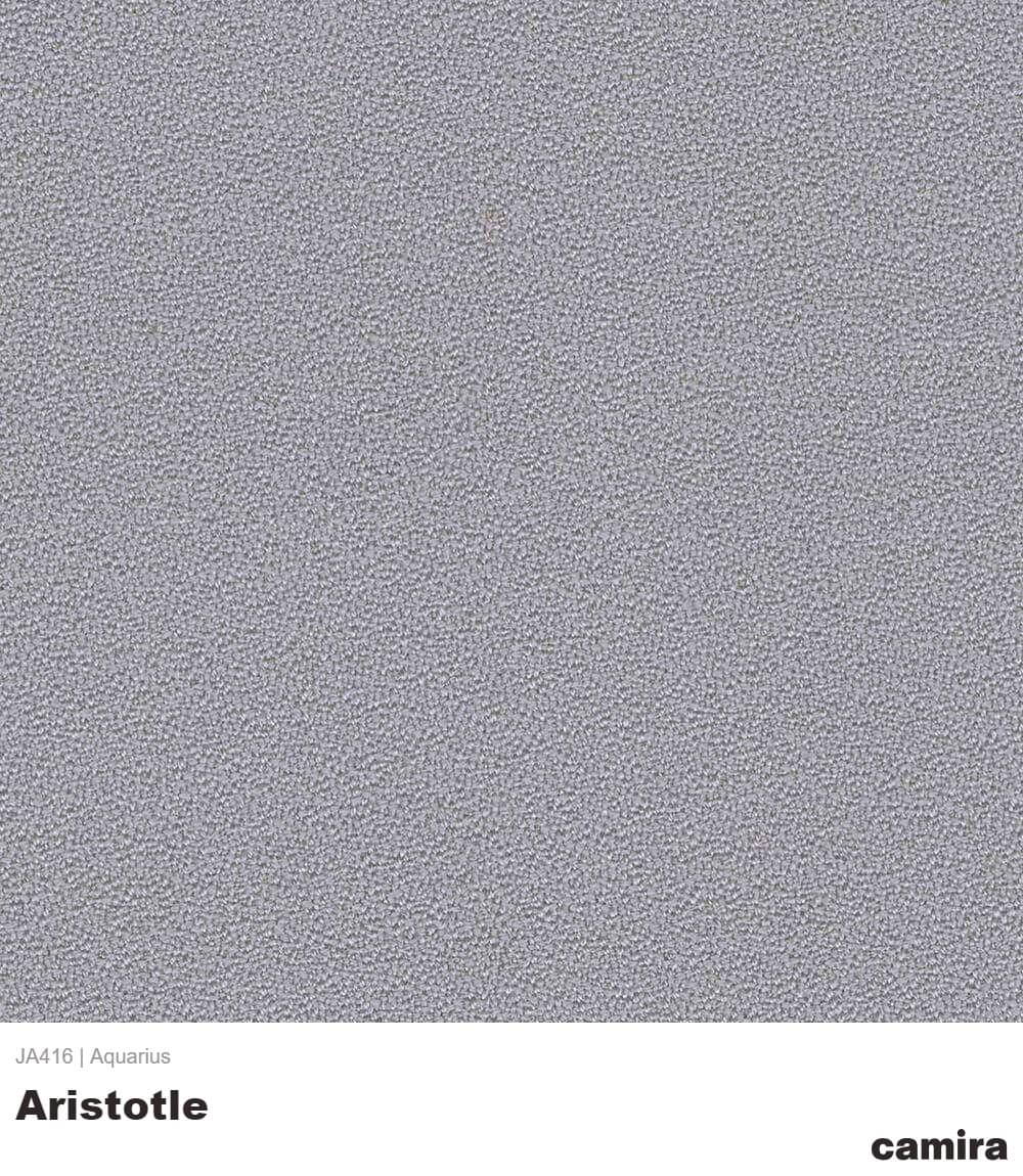 Aquarius-JA416-Aristotle Aquarius-JA416-Aristotle