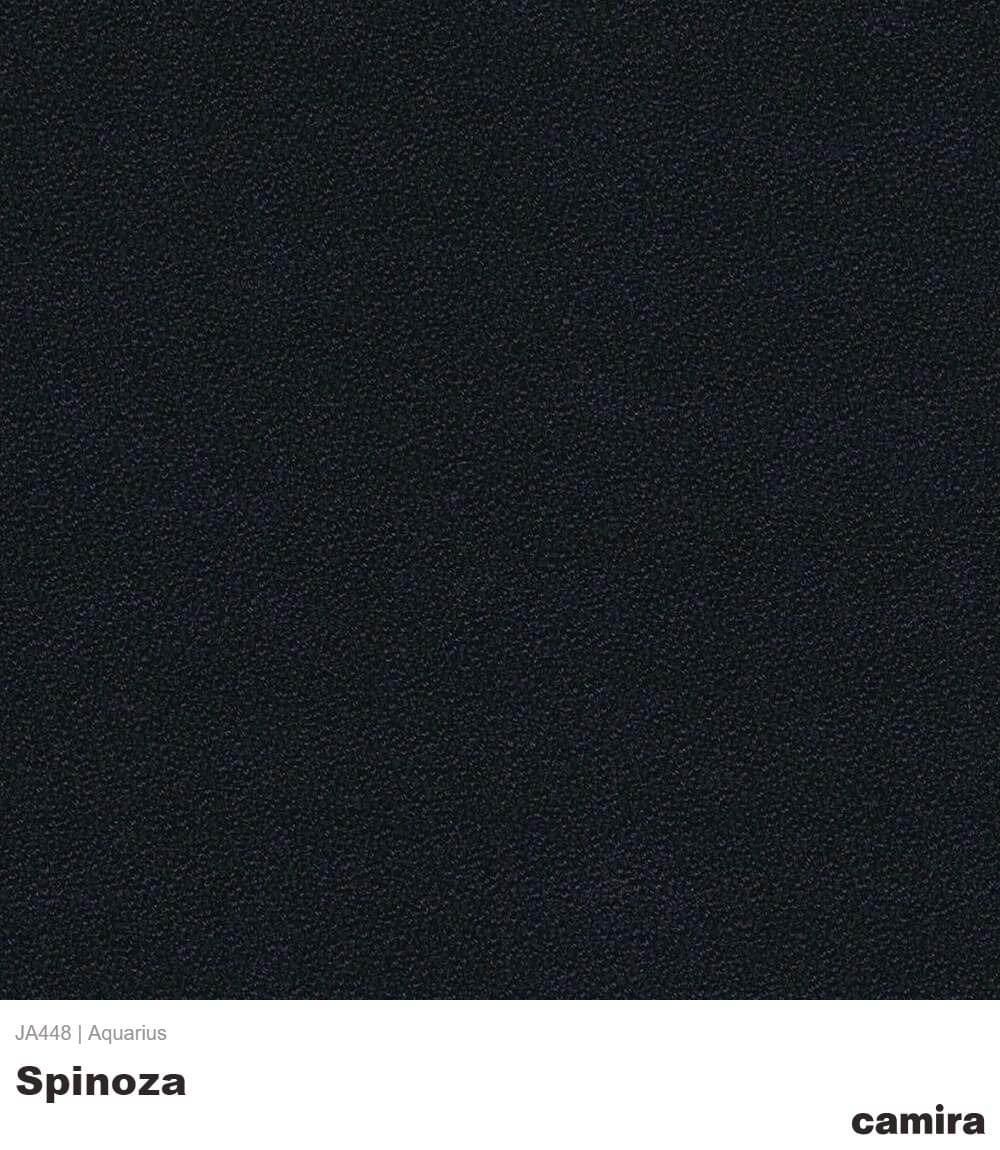 Aquarius-JA448-Spinoza Aquarius-JA448-Spinoza