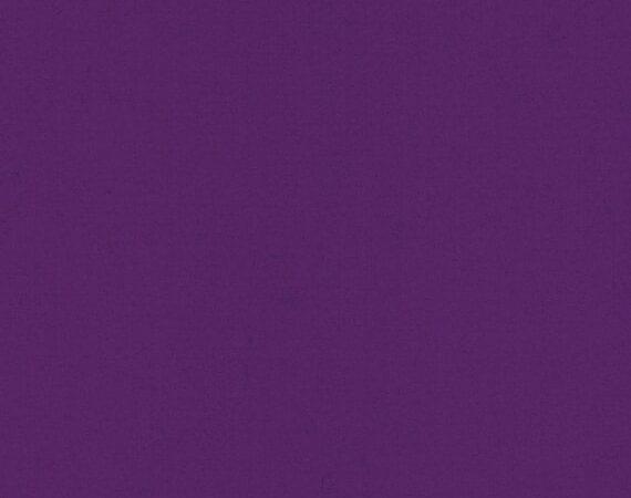 Blazer Loughborough CUZ2A