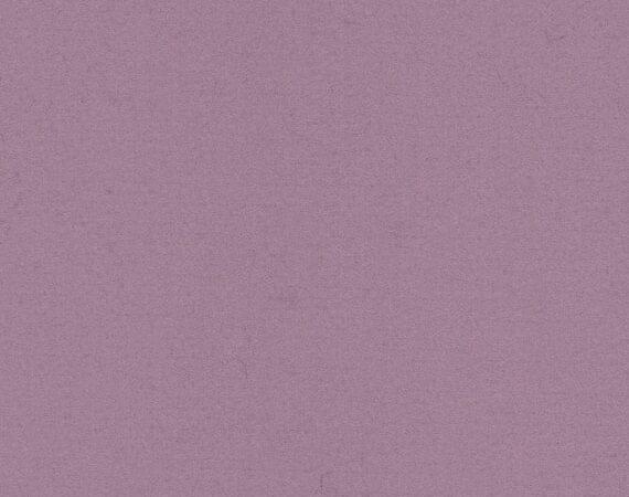 Blazer Sheffield CUZ1T